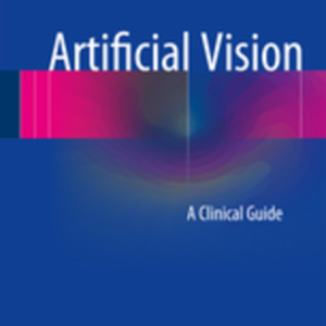 Artificial vision.jpg Artificial vision.jpg
