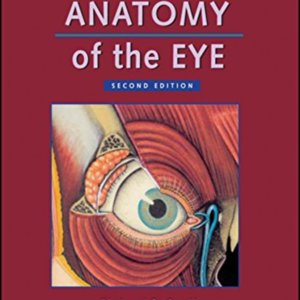 Clinical anatomy of the eye.jpg