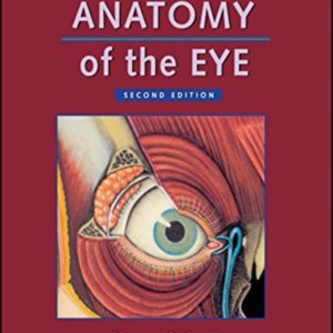 Clinical anatomy of the eye.jpg