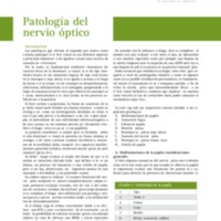 dic08-maestria-nervio.pdf