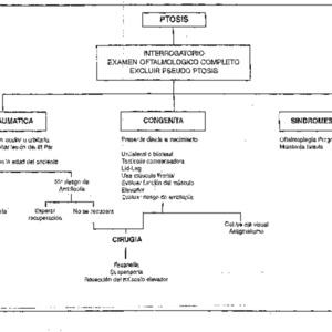 Curso anual 1998 SAOI algoritmo.pdf