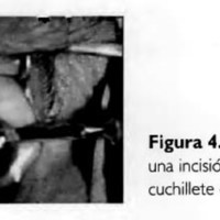 05_02_05_Wainsztein_fig_4.jpg