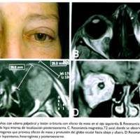 03_04_05_Gentile_fig_3.jpg