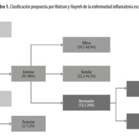 Cuadro 1. Clasificación propuesta por Watson y Hayreh de la enfermedad inflamatoria escleral