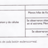 05_03_05_Galperin_tabla_1.jpg