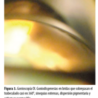 OCE_07_01_04_Moussalli_fig_3.jpg