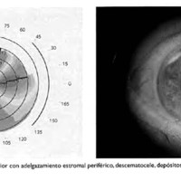 02_04_07_Dalessandro_fig_1.jpg