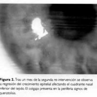 05_02_04_Torres_fig_2.jpg