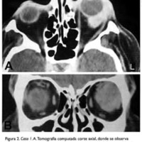 03_04_05_Gentile_fig_2.jpg