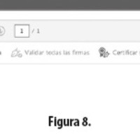 Figura 8.