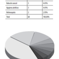 Tabla 3. Tipo de lesiones (N = 68).