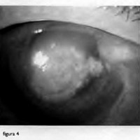 03_01_07_Palavecino_fig_4.jpg