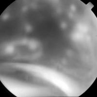 01_03_01_Dodds_fig_4_a.jpg