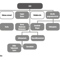 OCE_07_01_04_Moussalli_fig_11.jpg