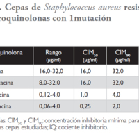 01_01_01_Rossetti_tabla_3.jpg