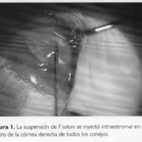 05_03_05_Galperin_fig_1.jpg