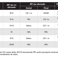 Tabla 2. Características de los pacientes, evolución de agudeza visual y terapéutica recibida.