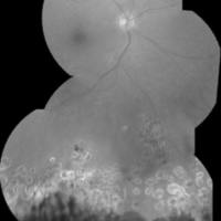 01_03_01_Dodds_fig_2.jpg