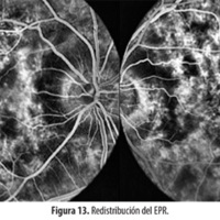 fig_13.jpg