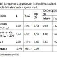 Tabla 5. Estimación de la carga causal de factores pronósticos en el desarrollo de la alteración de la agudeza visual.