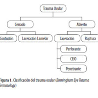 Figura 1. Clasificación del trauma ocular (Birmingham Eye TraumaTerminology)