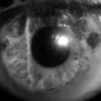 03_02_01_DAlessandro_fig_4.jpg