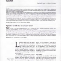 03_01_07_Palavecino.pdf