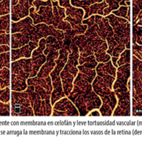 fig_48.jpg
