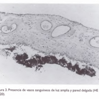 02_02_09_Mancini_fig_3.jpg