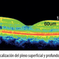 fig_1.jpg