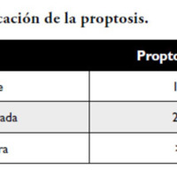 03_02_04_Mengual_tabla_1.jpg