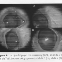 05_03_05_Galperin_fig_4.jpg