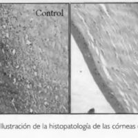 05_03_05_Galperin_fig_3.jpg