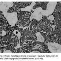 02_04_09_Gadea_fig_3.jpg