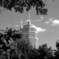 01_04_08_Parrini_fig_2.jpg