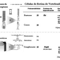 02_01_05_Guido_fig_2.jpg
