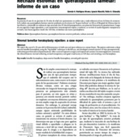 04_01_07_Rodriguez_pdf.pdf