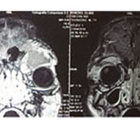 OCE_06_02_03_Welschen_fig_3.jpg