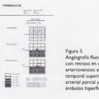 04_02_07_Federico_fig_3.jpg