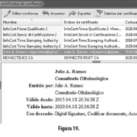 Figura 19.