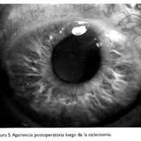 02_04_09_Gadea_fig_5.jpg