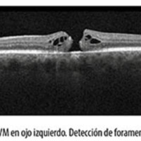 fig_8_colombero.jpg