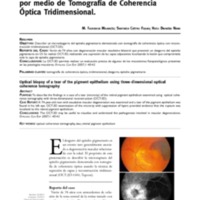 02_02_09_Milanese.pdf