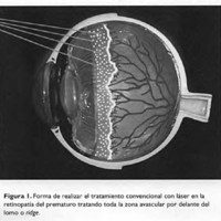 02_04_02_Larrea_fig_1.jpg