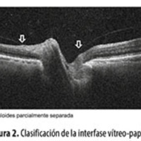 fig_2_colombero.jpg