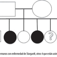 9_3_4_fig_4.jpg