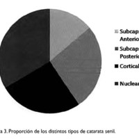 02_04_05_Medina_fig_3.jpg