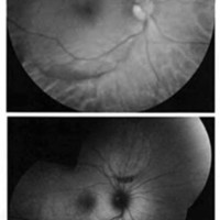 02_04_10_fig_1.jpg