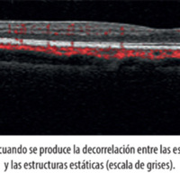 fig_18.jpg