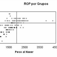 02_02_01_Waisman_fig_4.jpg